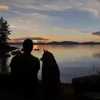 浦清忧